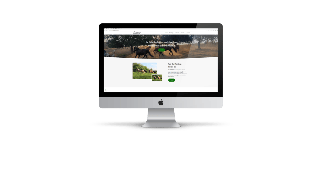 Ein optisch beeindruckender Computerbildschirm, auf dem ein sorgfältig gestaltetes Bild eines Pferdes für eine professionelle Website angezeigt wird. Es zeigt einen Kunden, für den eine Website erstellt wurde.